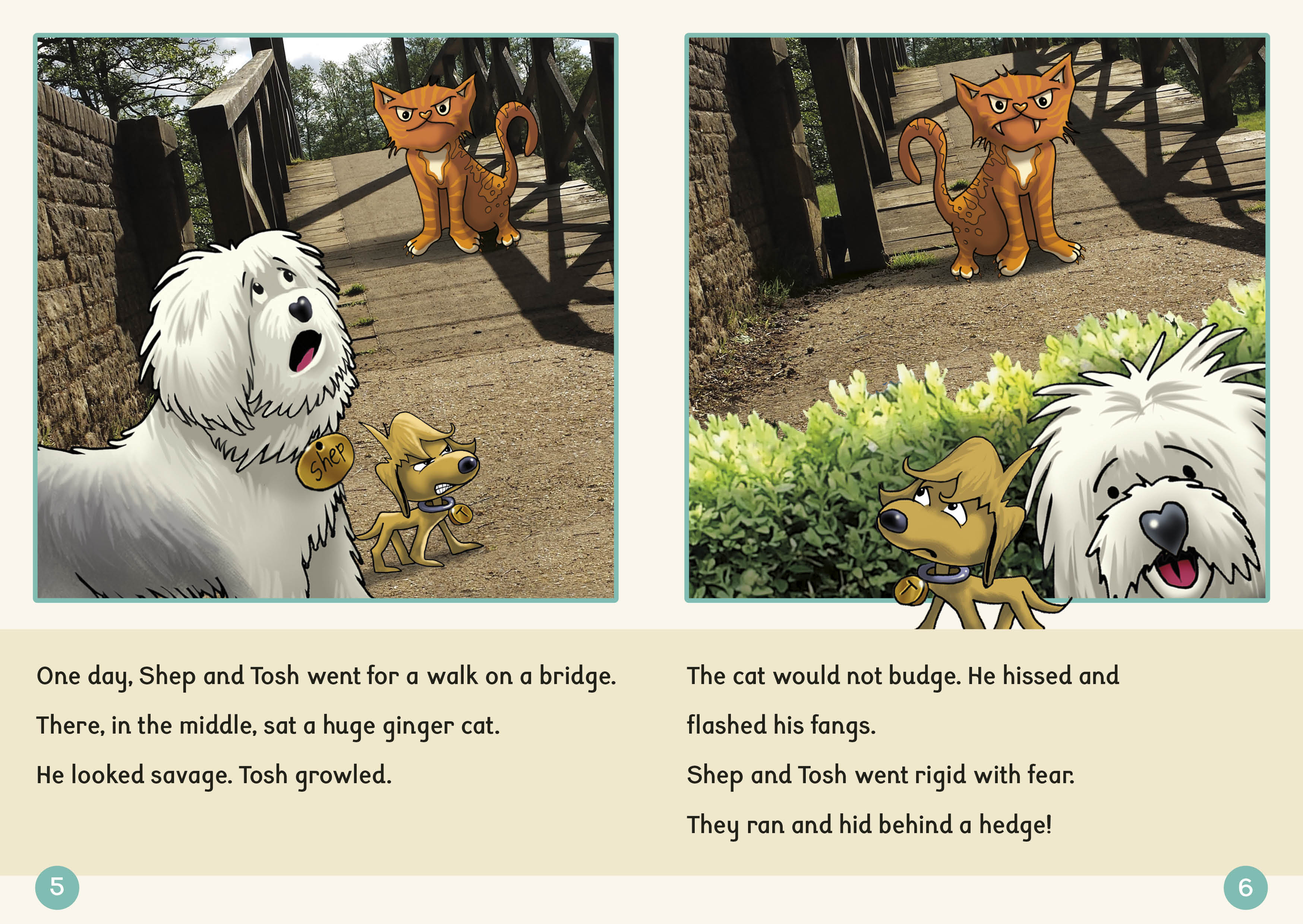 Phonic Books Dandelion Readers Further Spellings and Suffixes Level 4-image