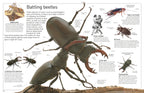 DK Eyewitness Books: Insect