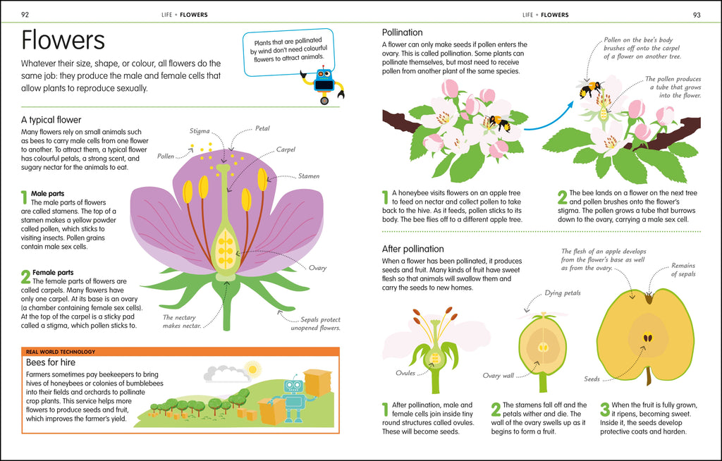 How to Be Good at Science, Technology, and Engineering