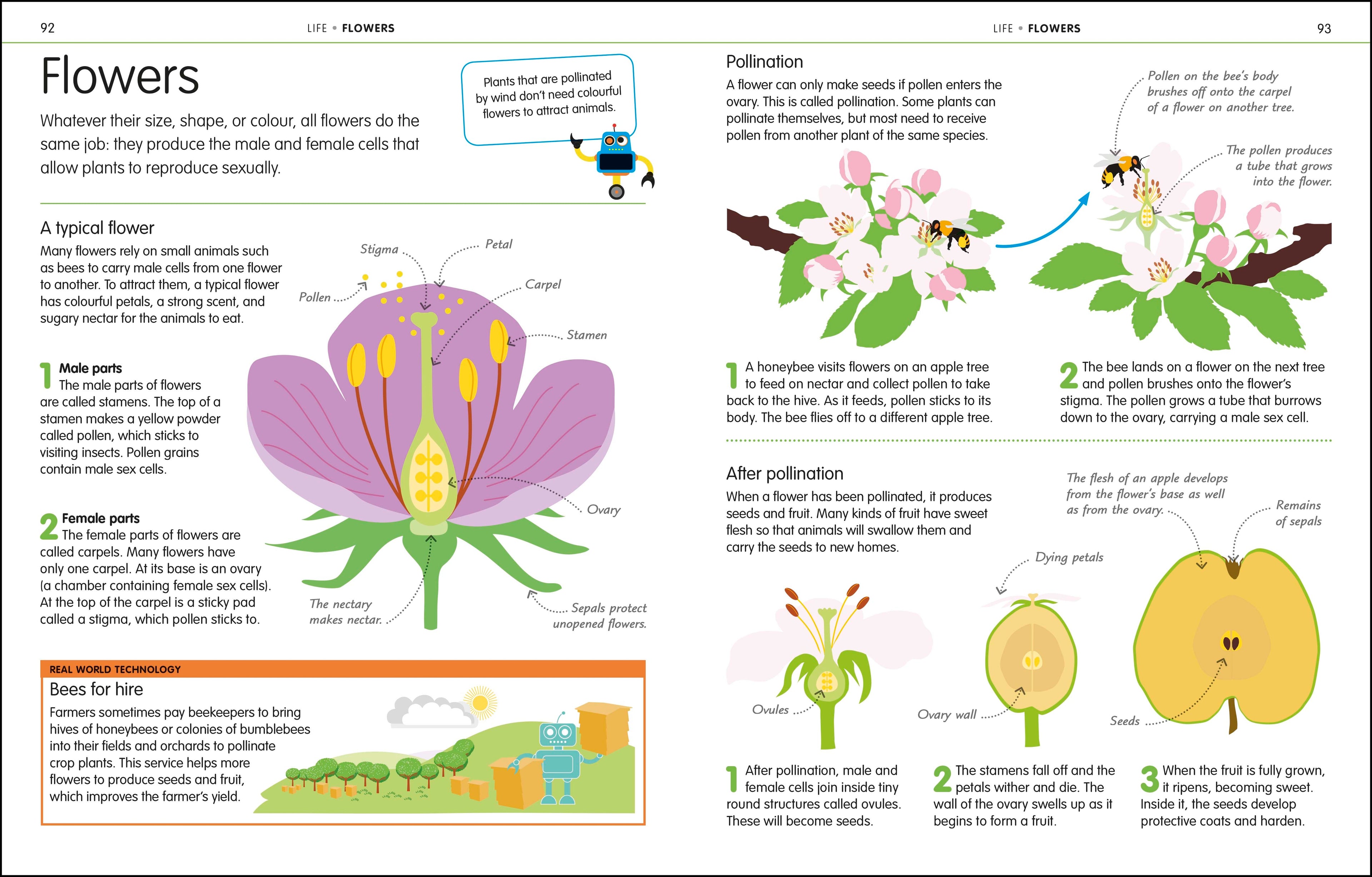 How to Be Good at Science, Technology, and Engineering