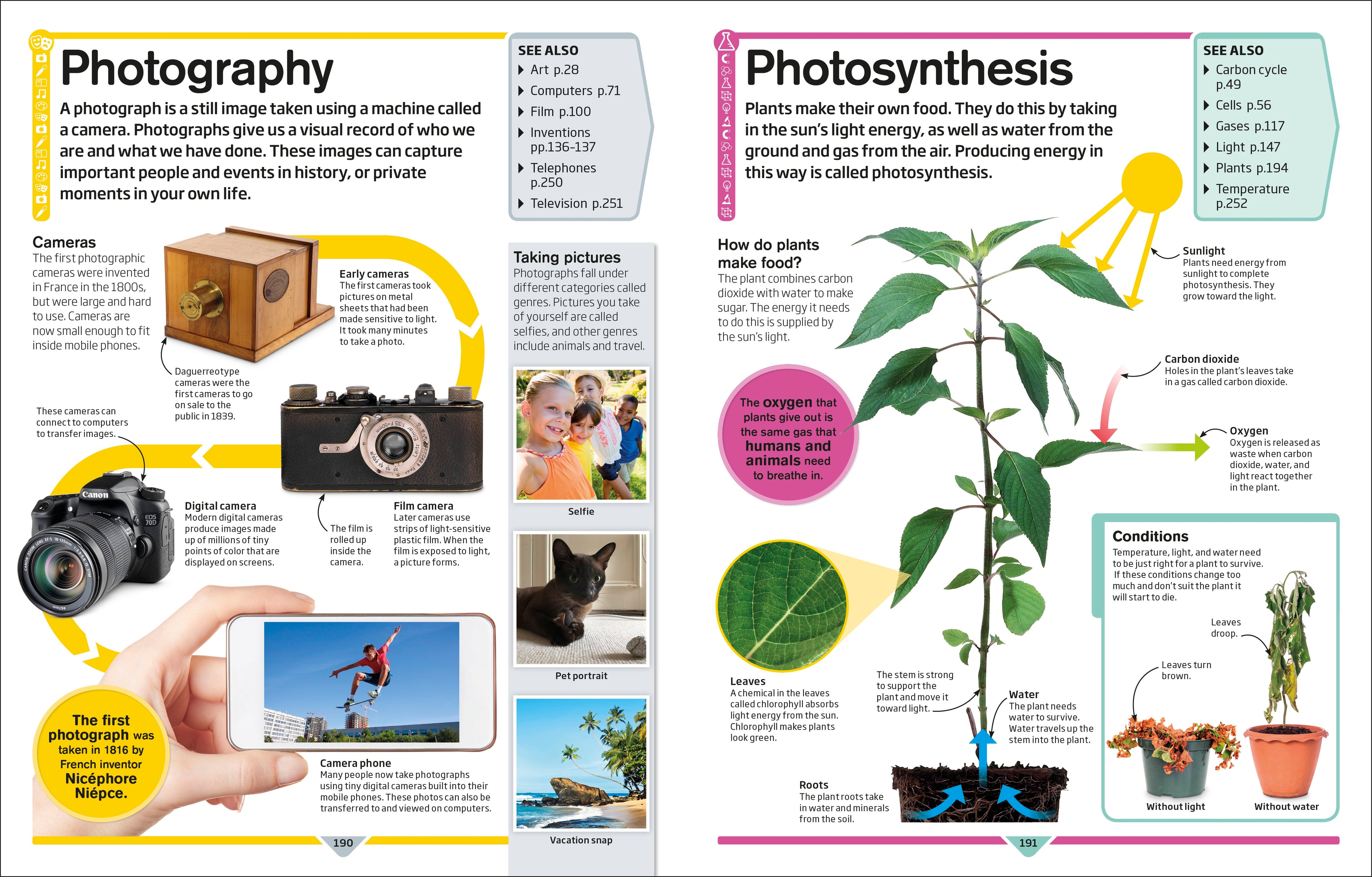 DK Children's Encyclopedia