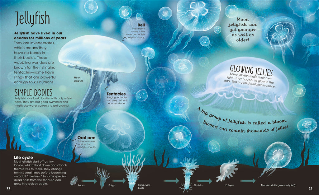 Earth's Incredible Oceans