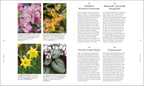 RHS A Plant for Every Day of the Year-spread image