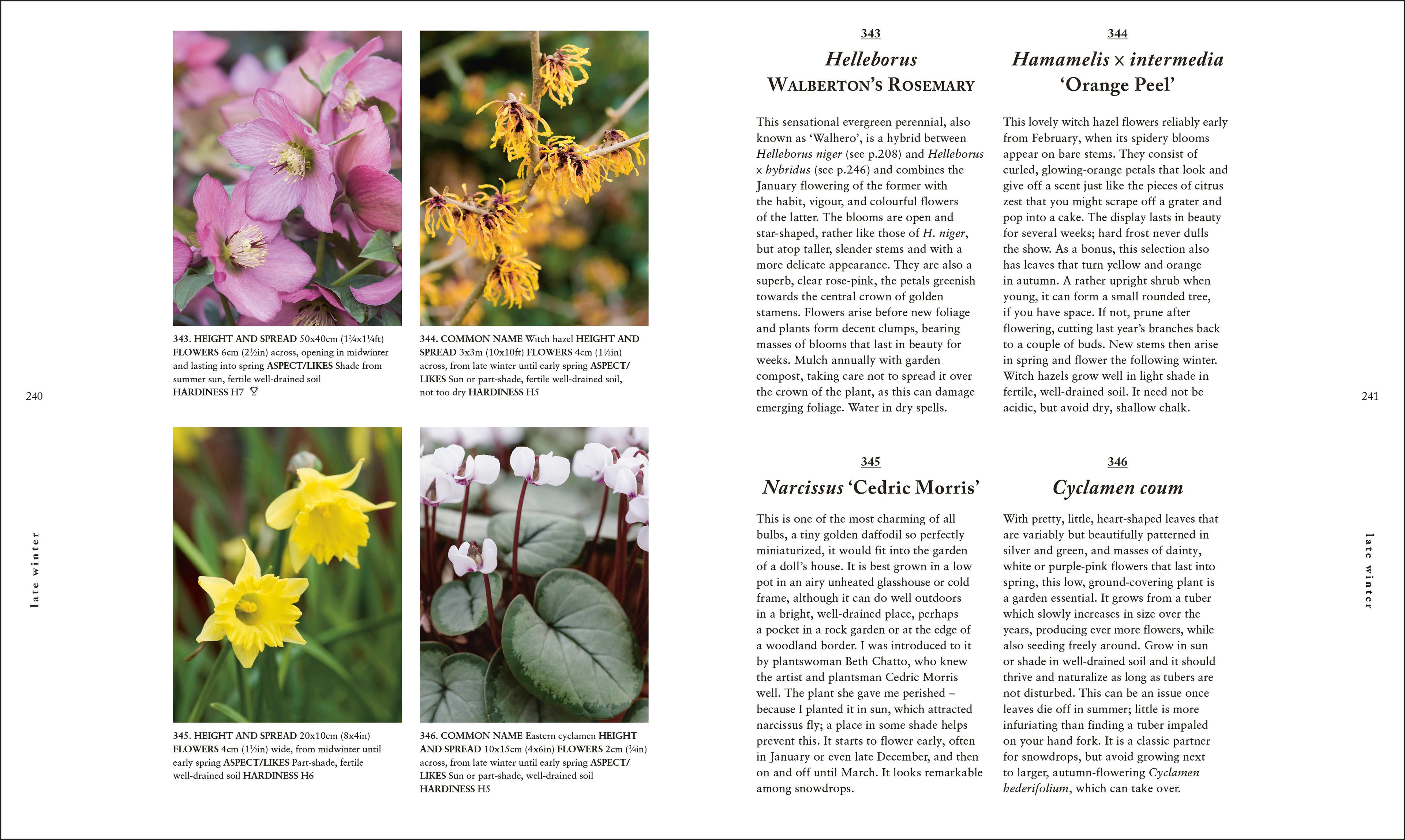 RHS A Plant for Every Day of the Year-spread image