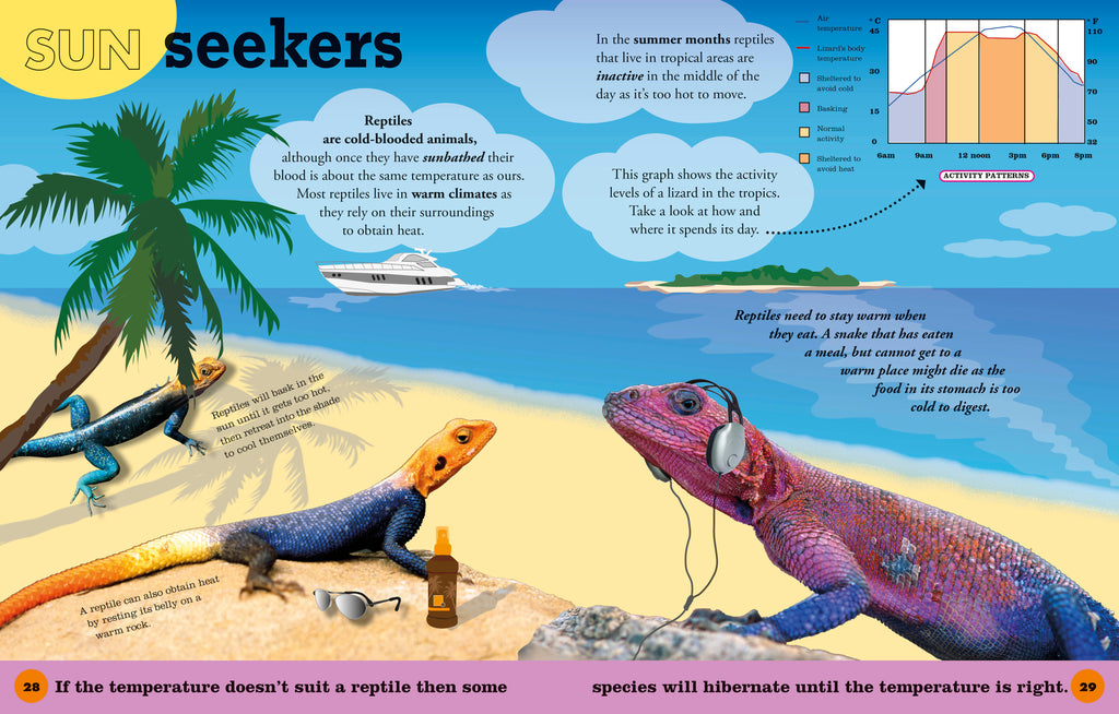 Everything You Need to Know About Frogs