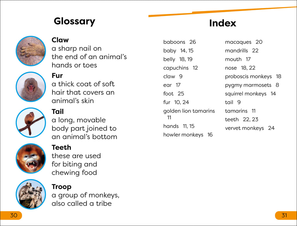 DK Super Readers Level 1 Monkeys