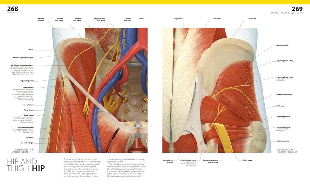 The Complete Human Body