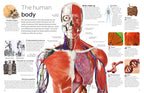Human Body
