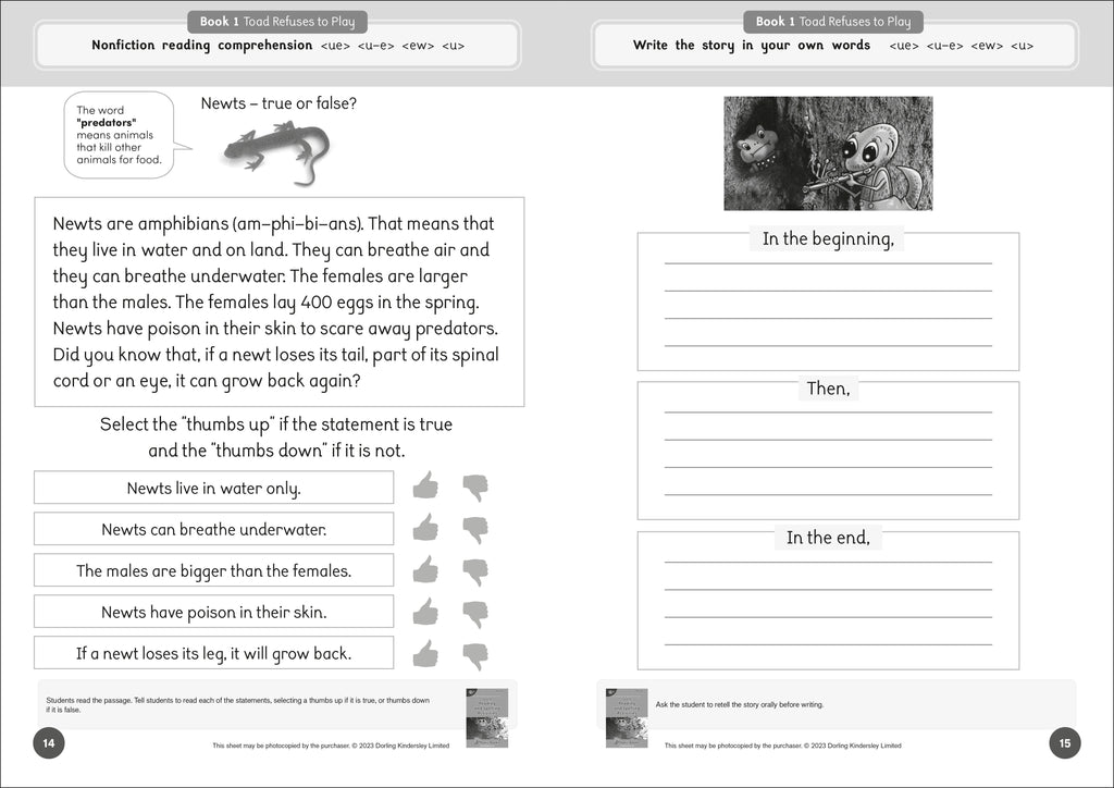 Phonic Books Dandelion Readers Reading and Spelling Activities Further Spellings and Suffixes Level 4-image