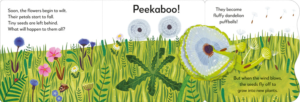 Pop-Up Peekaboo! Flower-Spread, Image, (PRHC, Design, Do, Not, Use)-3