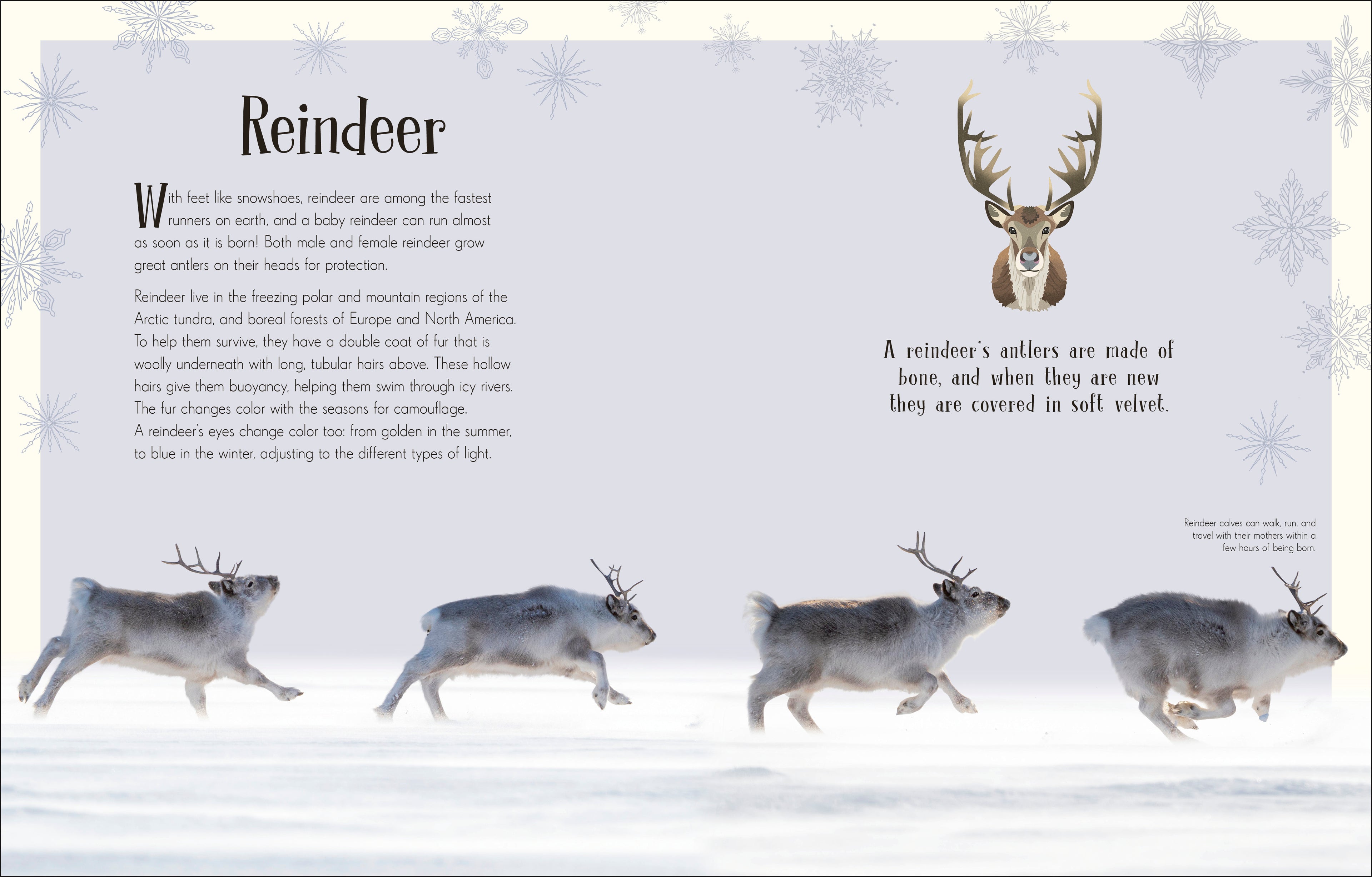 An Anthology of Christmas-Spread, Image, (PRHC, Design, Do, Not, Use)-3