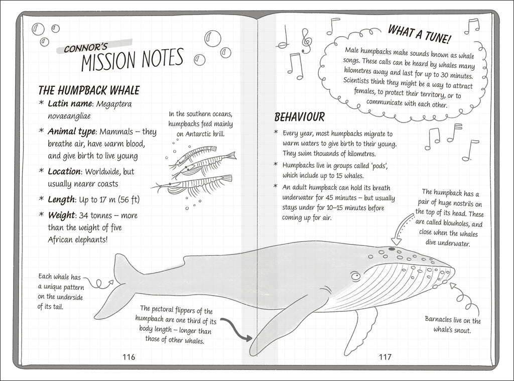 The Secret Explorers and the Lost Whales