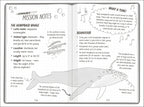 The Secret Explorers and the Lost Whales