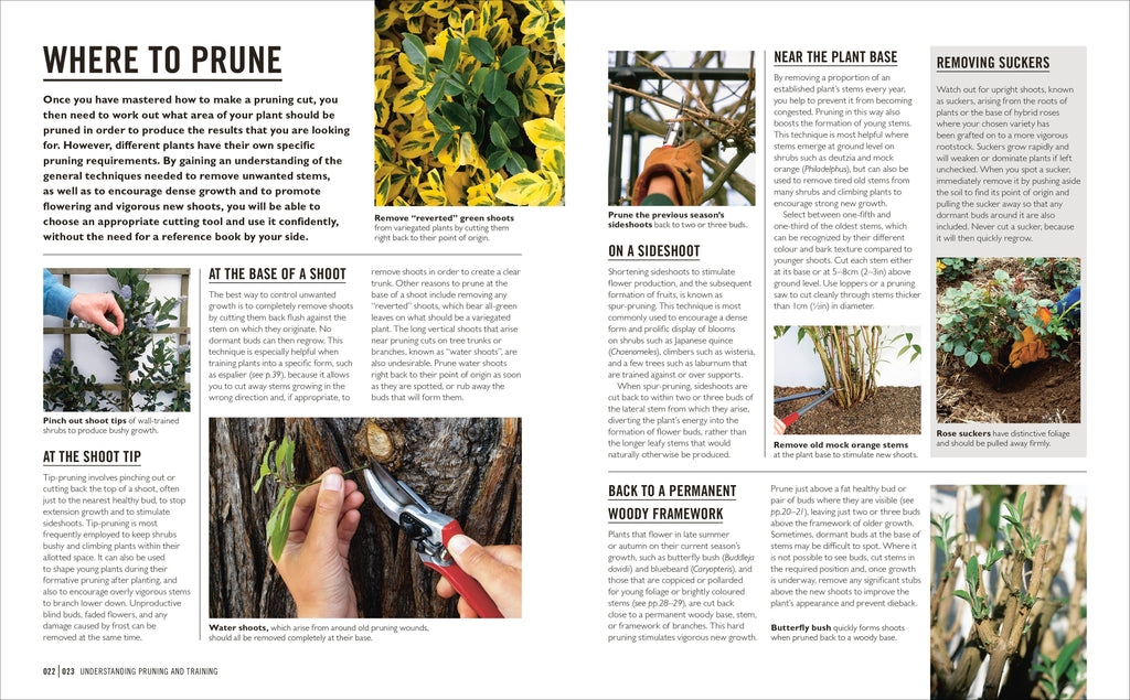 Grow Pruning & Training