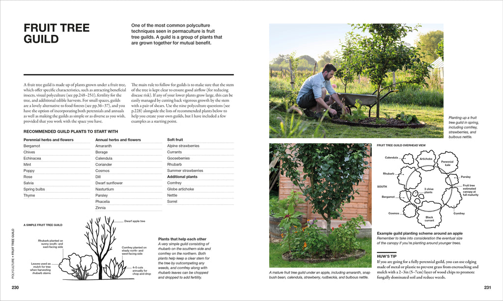 The Permaculture Garden-Spread, Image, (PRHC, Design, Do, Not, Use)-6