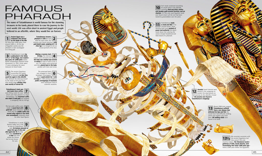 13½ Incredible Things You Need to Know About Everything