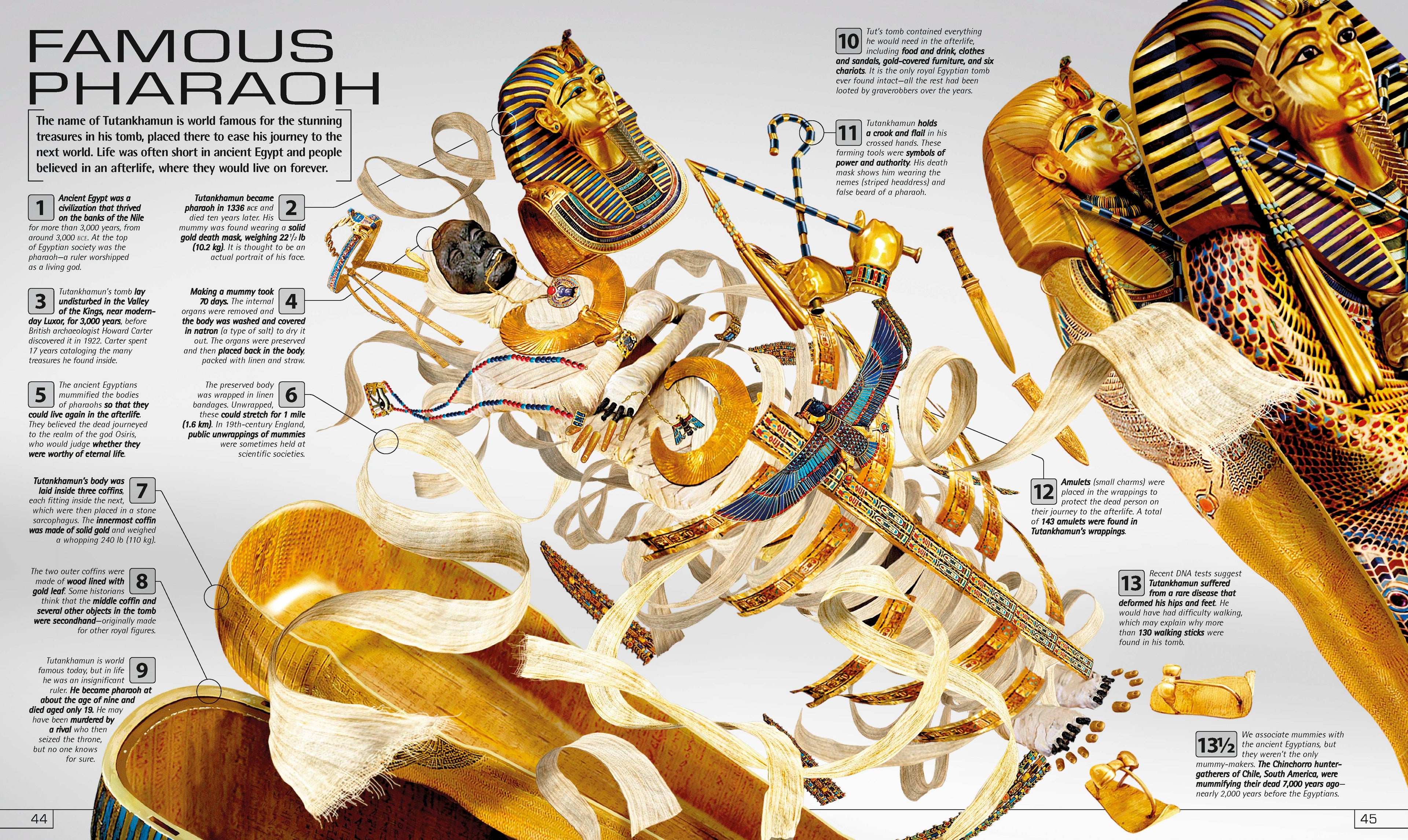 13½ Incredible Things You Need to Know About Everything