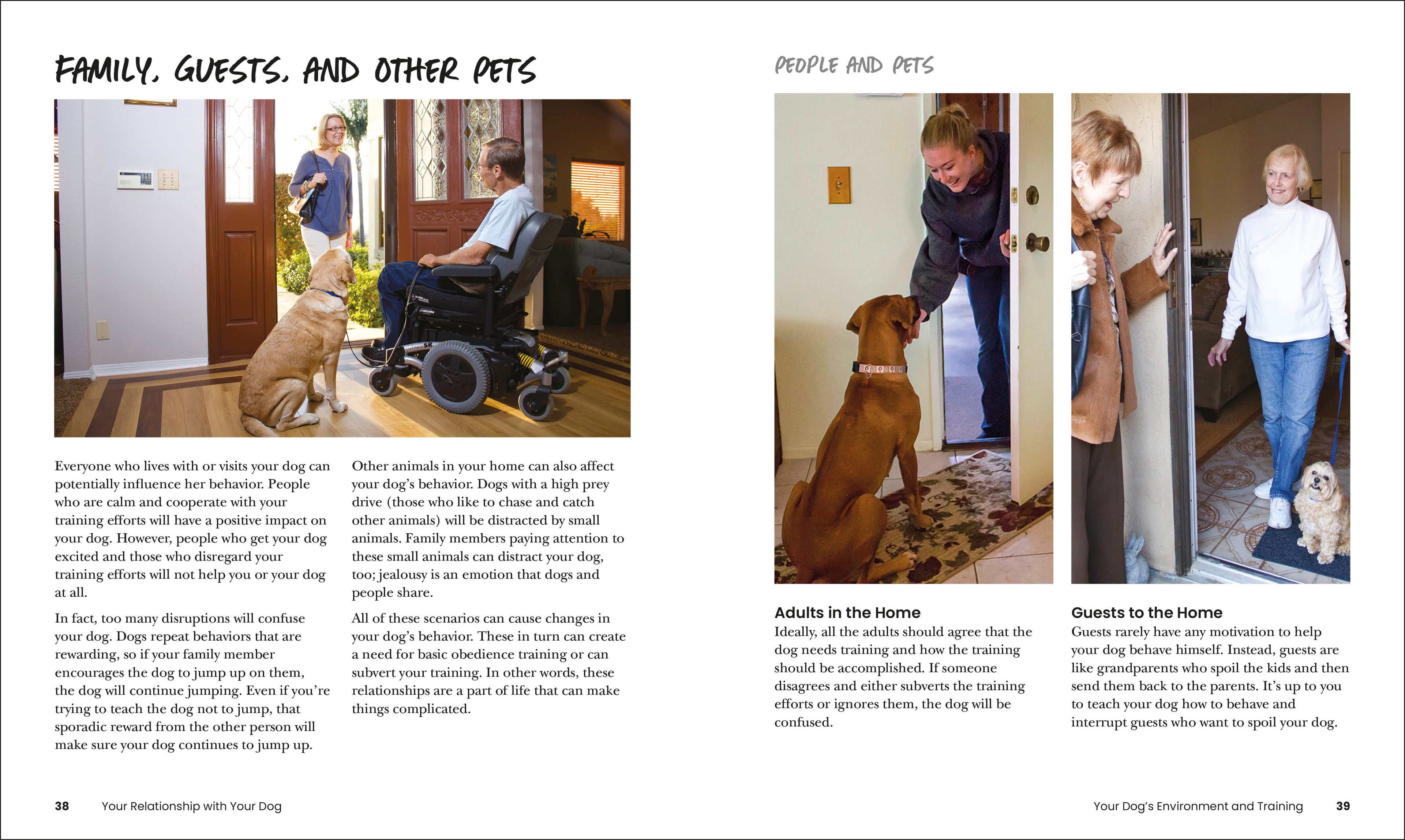 How to Train Your Dog-Spread, Image, (PRHC, Design, Do, Not, Use)-2