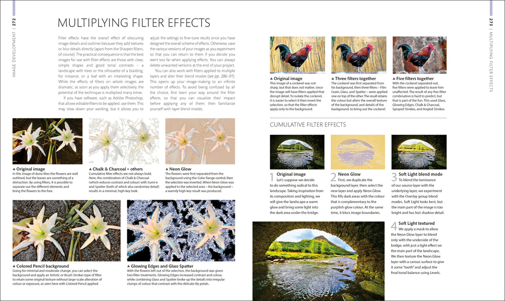 Digital Photographer's Handbook