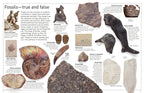DK Eyewitness Books: Fossil
