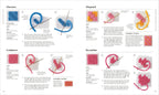 Embroidery Stitches Step-by-Step-spread image