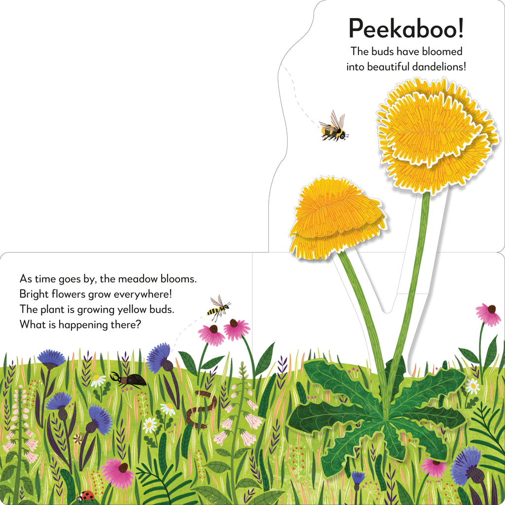 Pop-Up Peekaboo! Flower