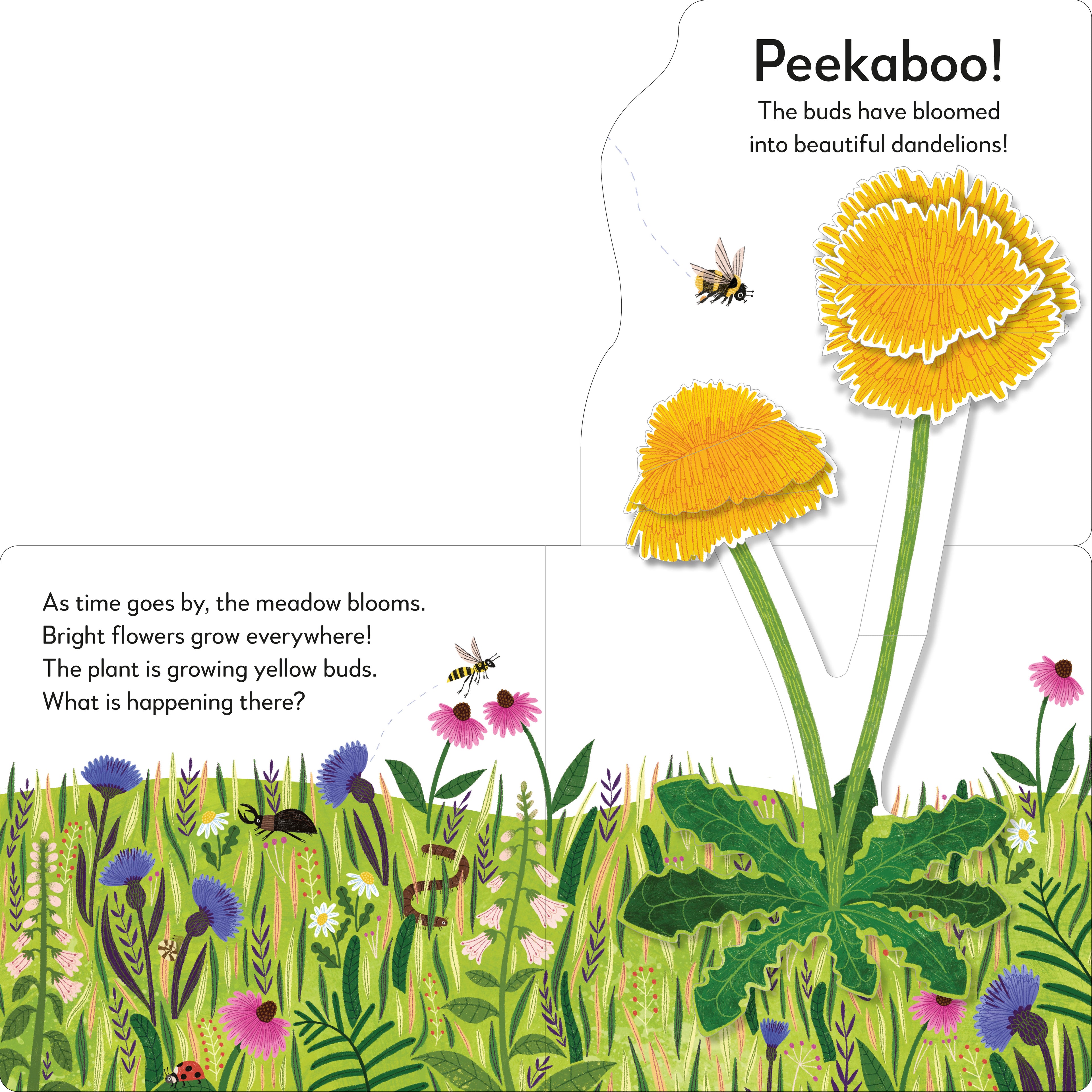 Pop-Up Peekaboo! Flower