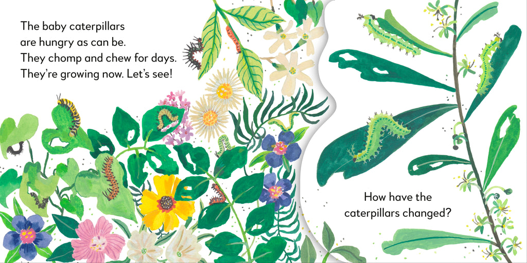 Pop-Up Peekaboo! Butterfly-spread image