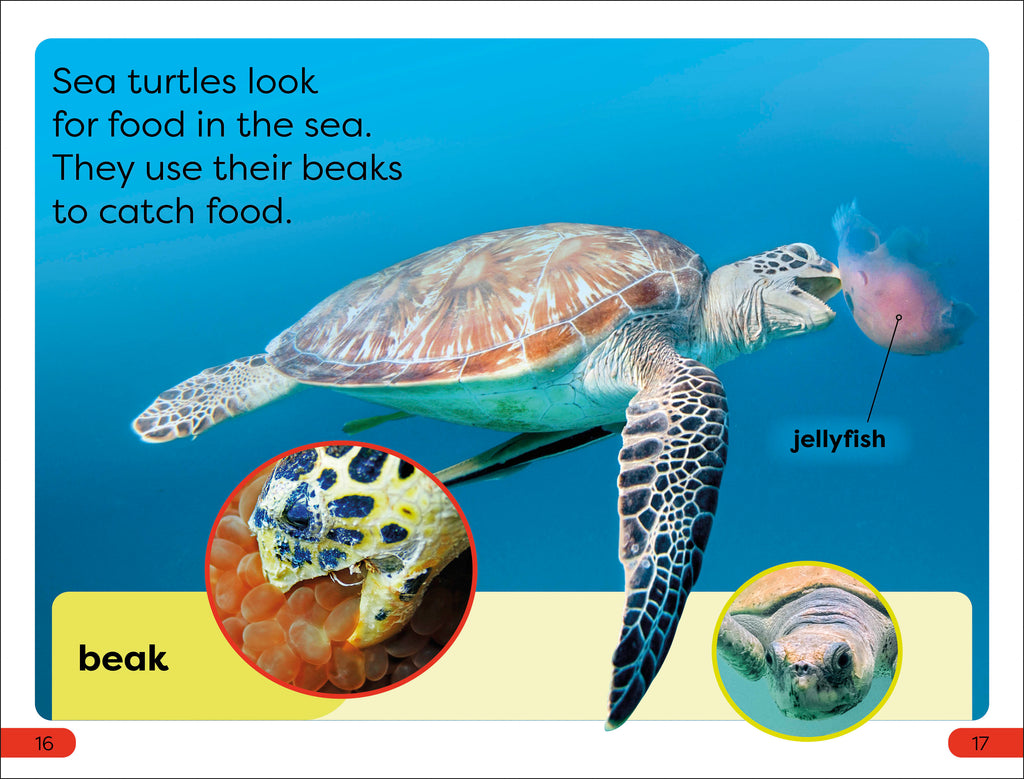DK Super Readers Pre-Level Save the Sea Turtles