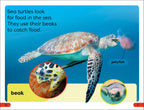 DK Super Readers Pre-Level Save the Sea Turtles