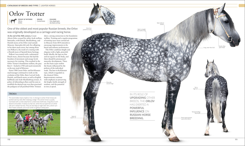 The Horse Encyclopedia
