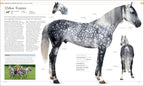 The Horse Encyclopedia
