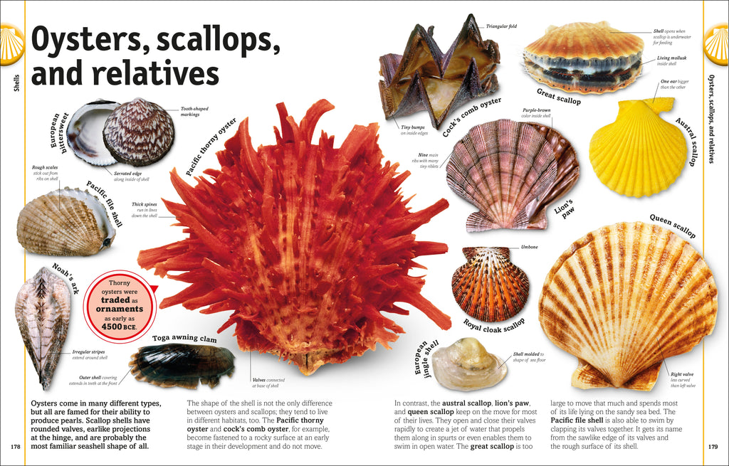 The Rock and Gem Book