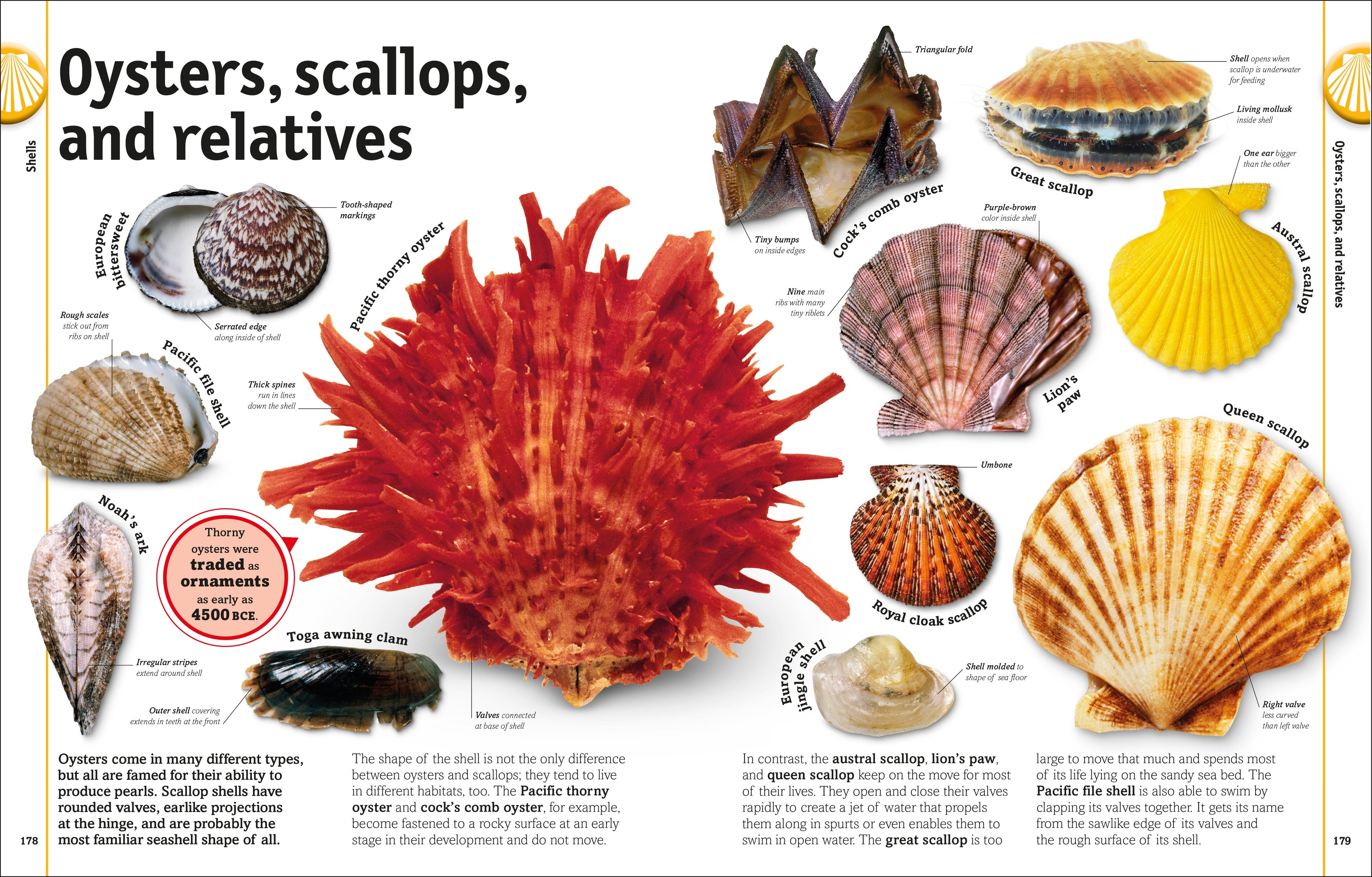 The Rock and Gem Book