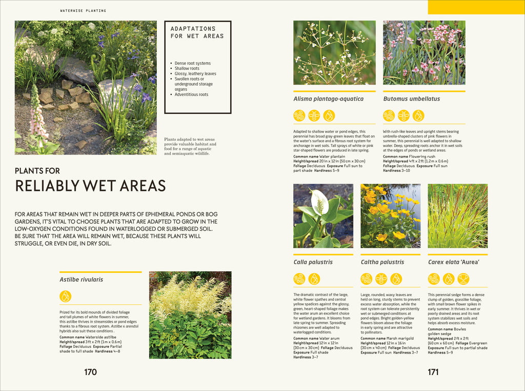Waterwise Garden-Spread, Image, (PRHC, Design, Do, Not, Use)-6
