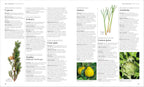 Encyclopedia of Herbal Medicine New Edition-Spread, Image, (PRHC, Design, Do, Not, Use)-6