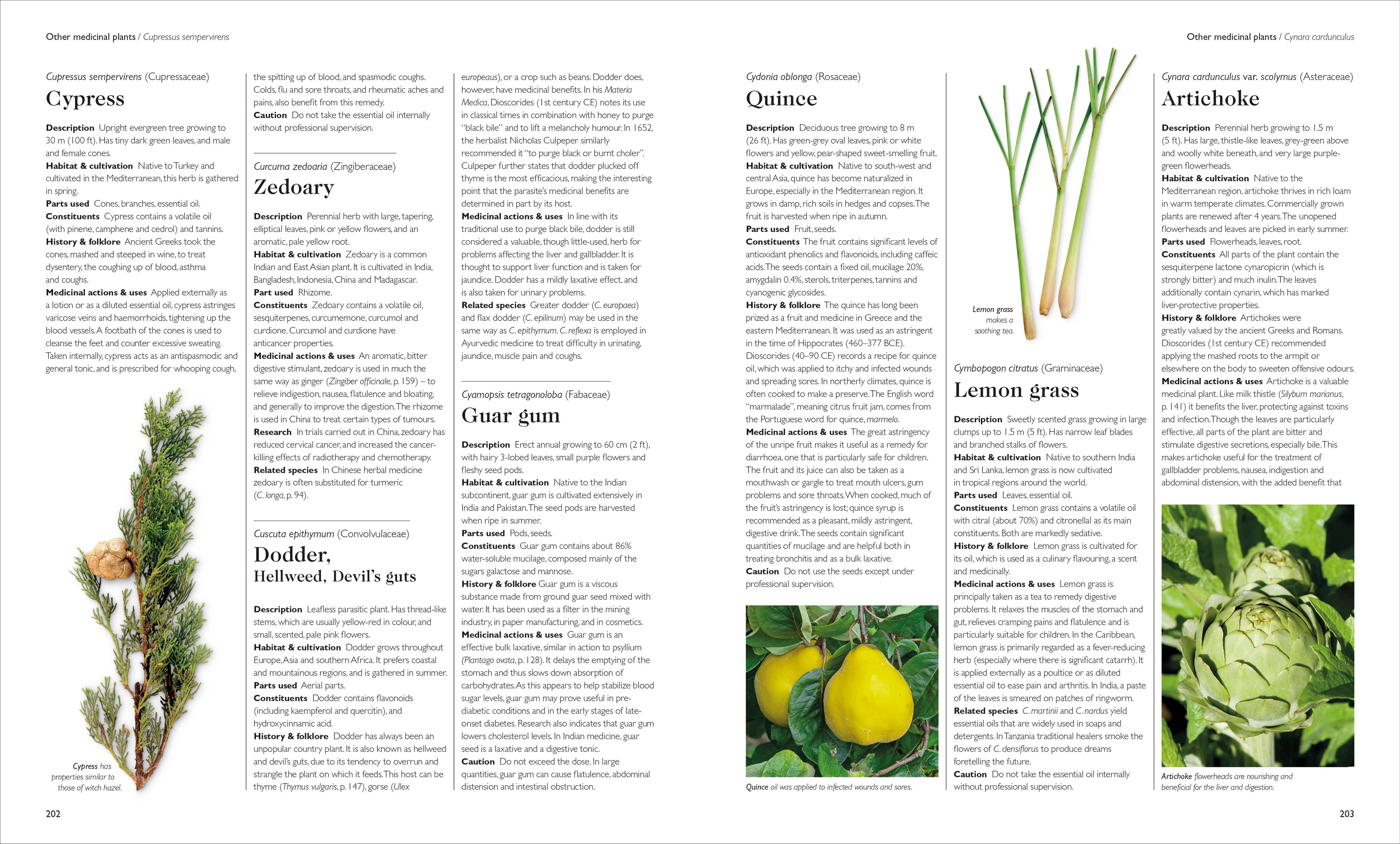 Encyclopedia of Herbal Medicine New Edition-Spread, Image, (PRHC, Design, Do, Not, Use)-6