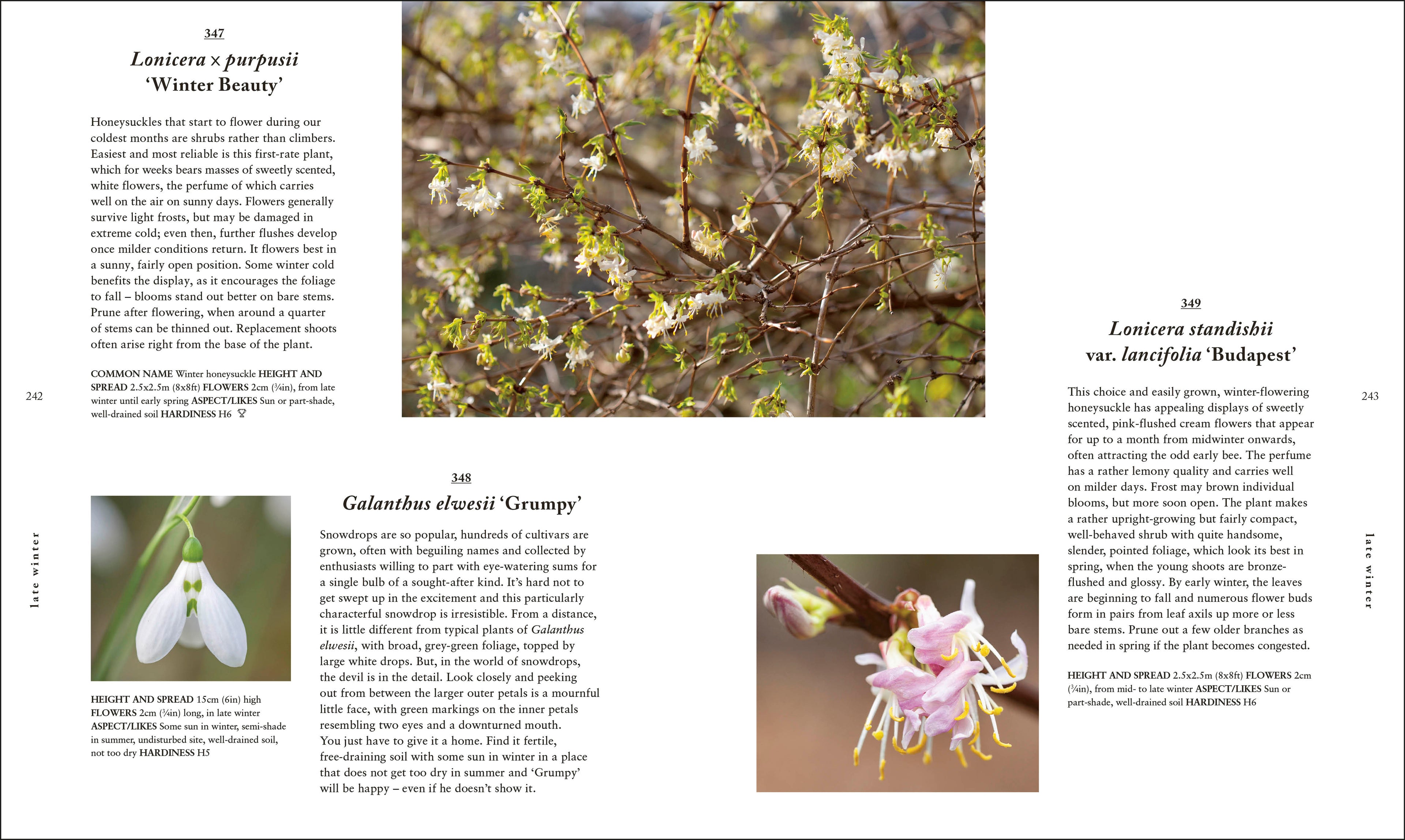 RHS A Plant for Every Day of the Year-spread image