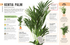 How Not to Kill Your Houseplant