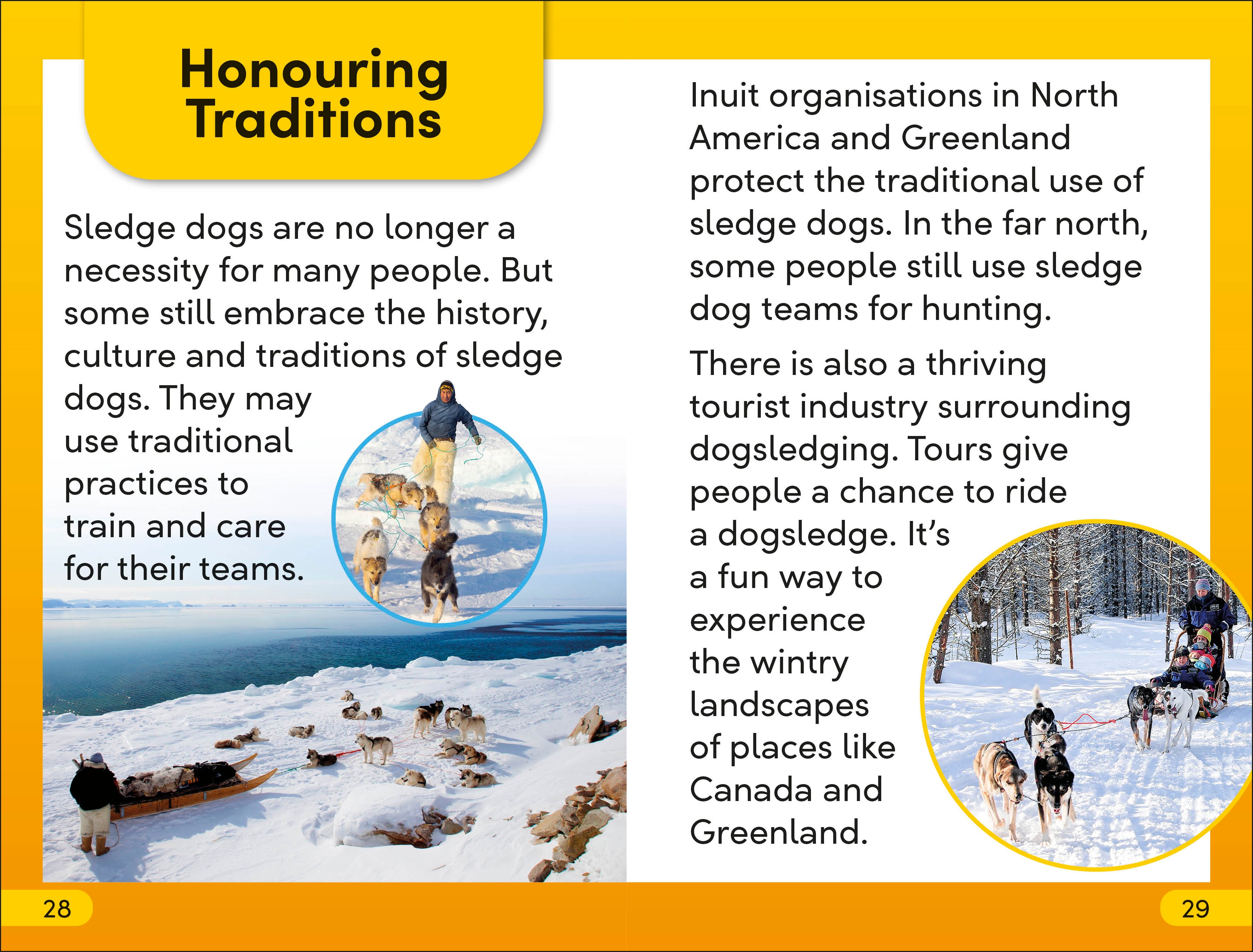 DK Super Readers Level 2 Snow Dogs