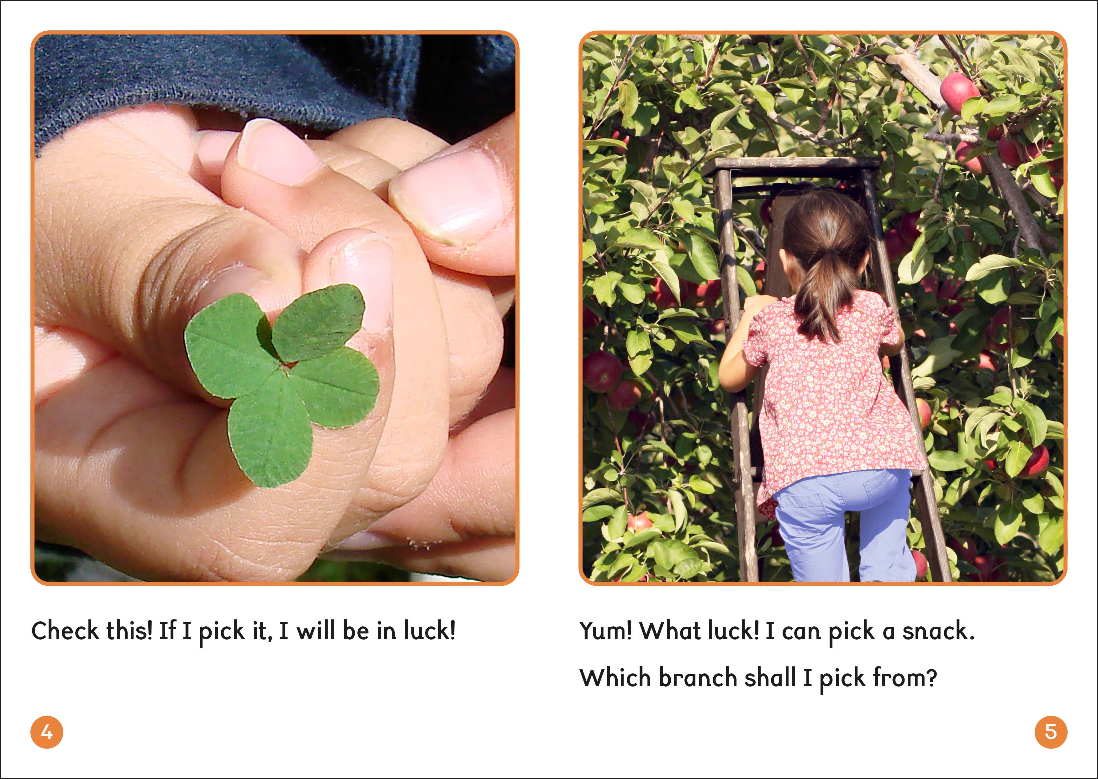 Phonic Books Dandelion World Extras Stages 8-15-Spread, Image, (PRHC, Design, Do, Not, Use)-5
