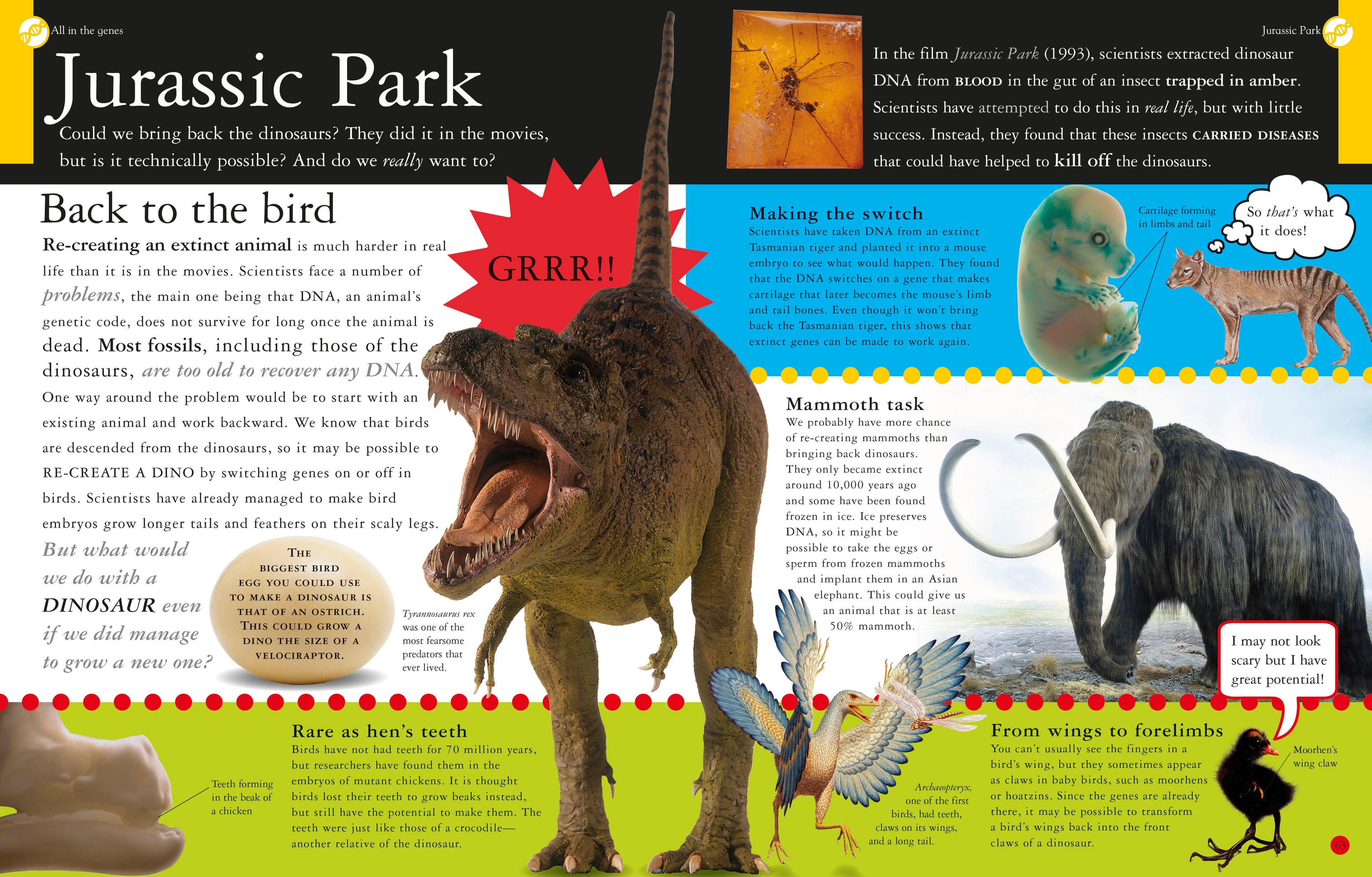 Evolution Revolution