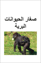 DK Super Readers Level 2 Wild Baby Animals (Arabic translation)-Spread, Image, (PRHC, Design, Do, Not, Use)-1
