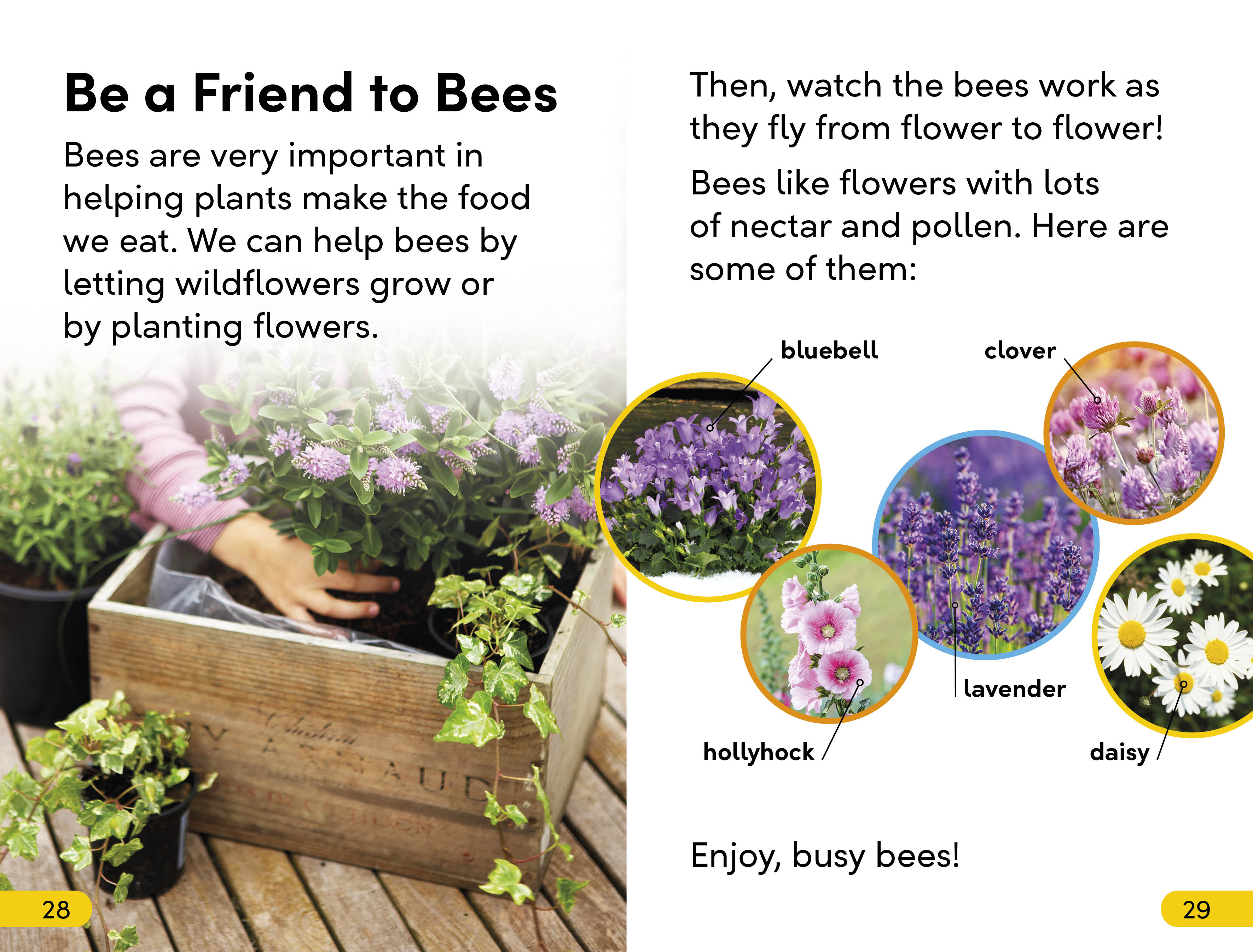 DK Super Readers Level 2 Amazing Bees