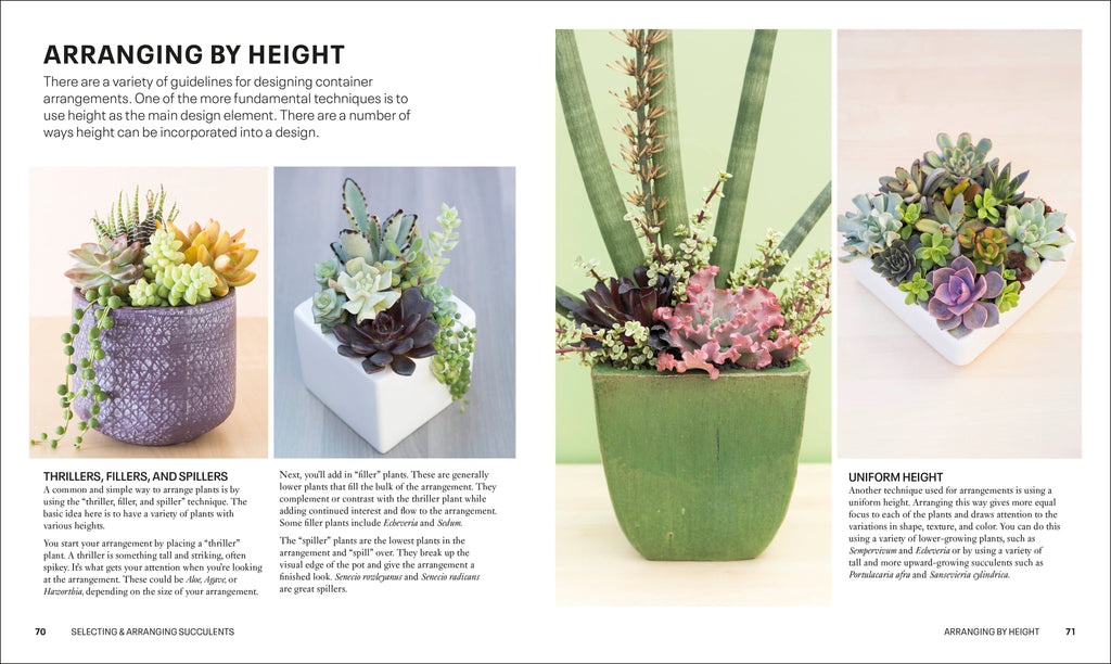 Succulents-Spread, Image, (PRHC, Design, Do, Not, Use)-4