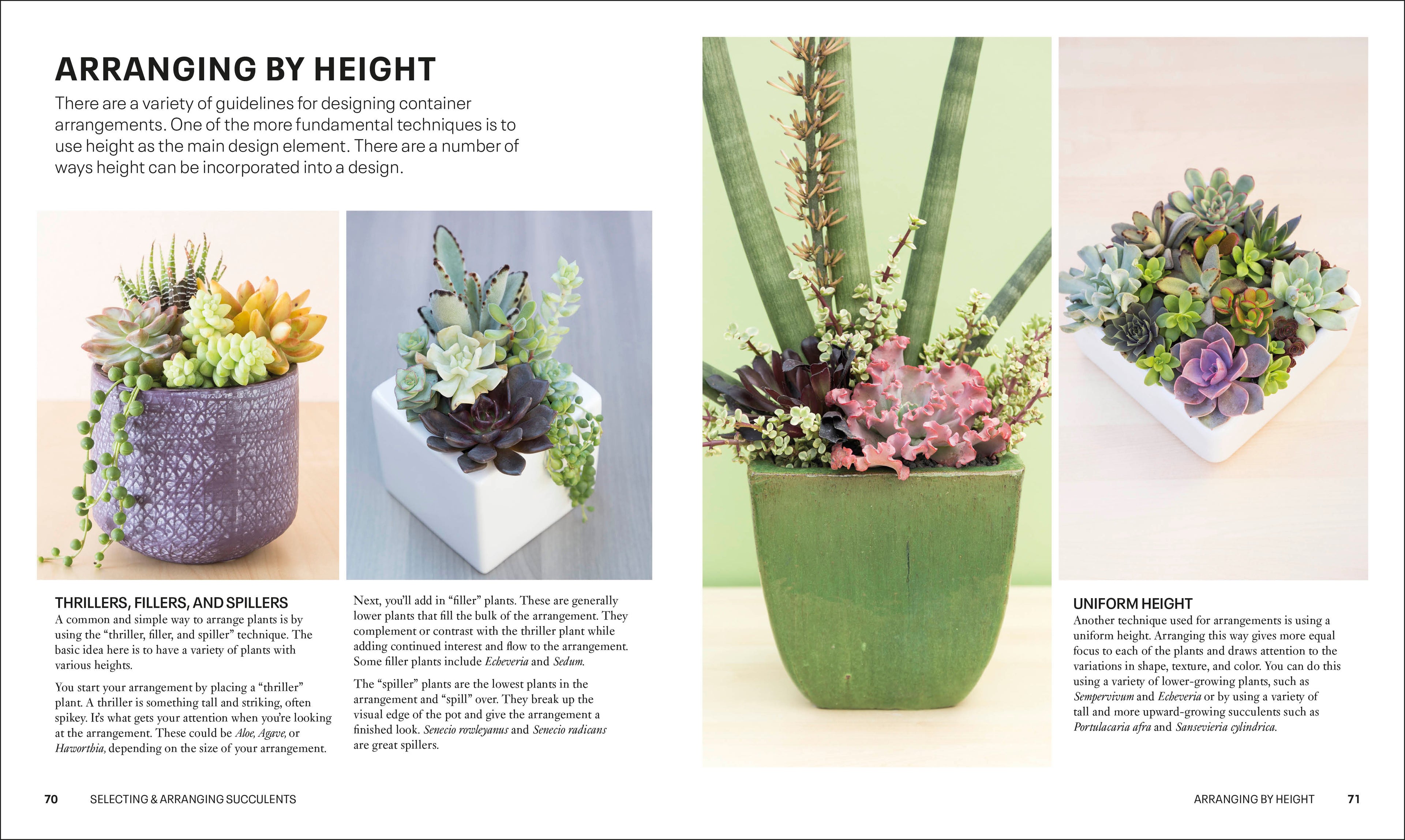 Succulents-Spread, Image, (PRHC, Design, Do, Not, Use)-4