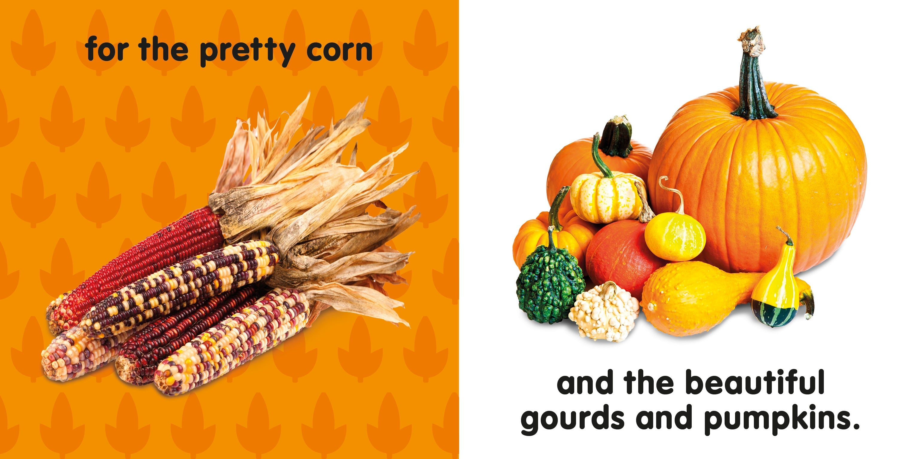 Baby's First Thanksgiving