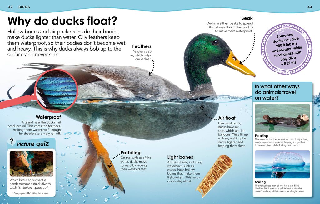 Did You Know? Animals