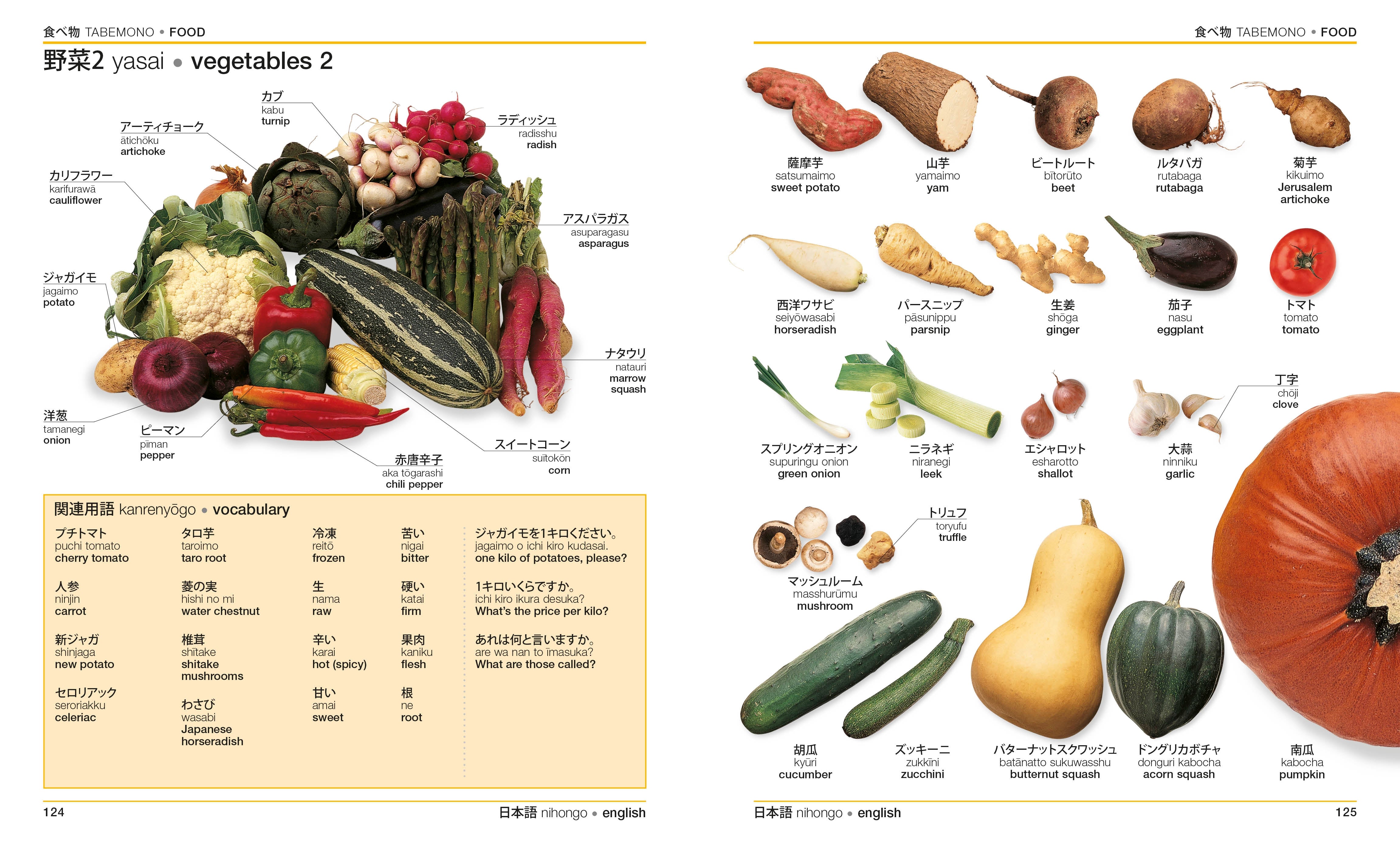 Japanese-English Bilingual Visual Dictionary – DK