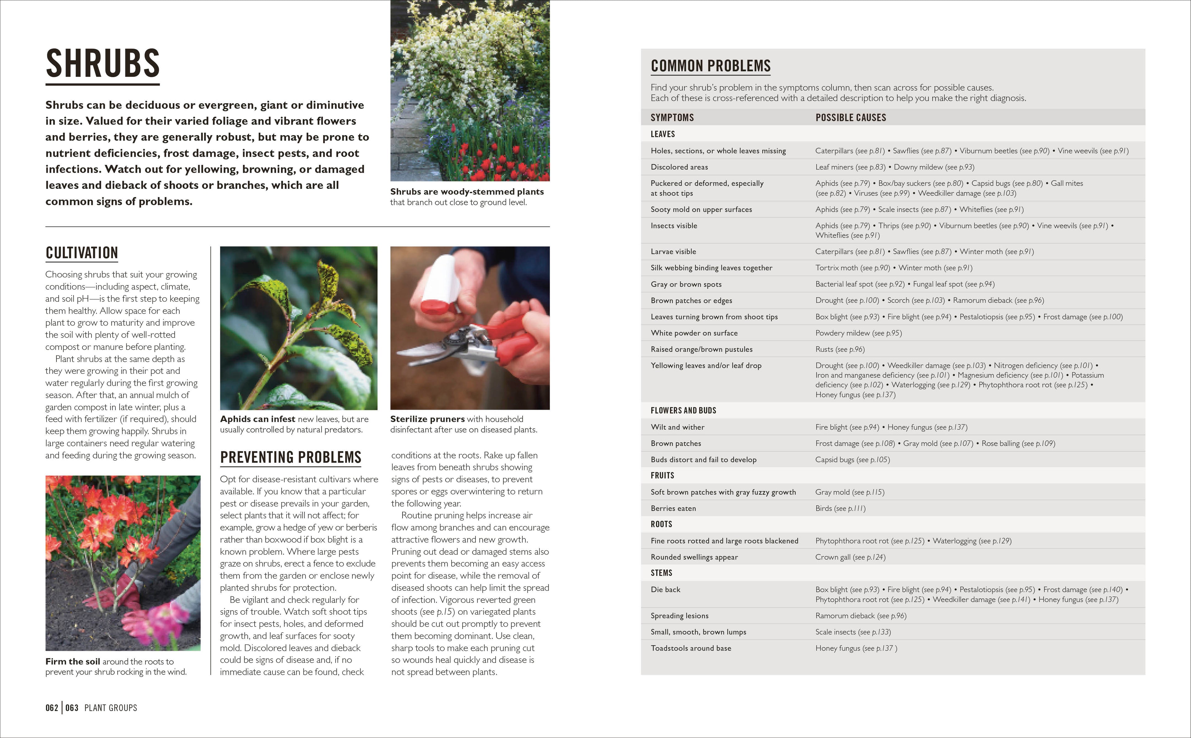 Grow Pests & Diseases-Spread, Image, (PRHC, Design, Do, Not, Use)-2